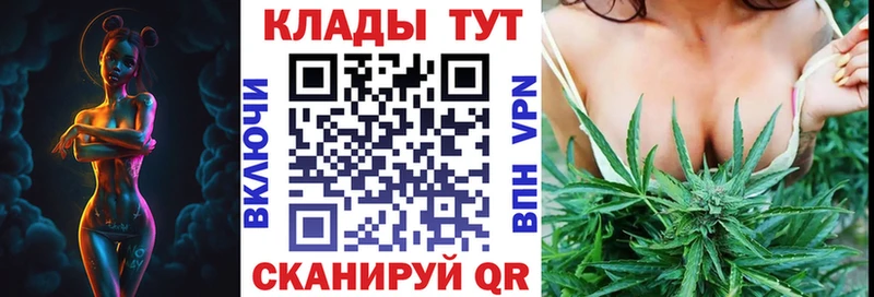 Виды наркоты Будённовск Alpha PVP МЕФ OMG как войти Гашиш Канабис COCAIN