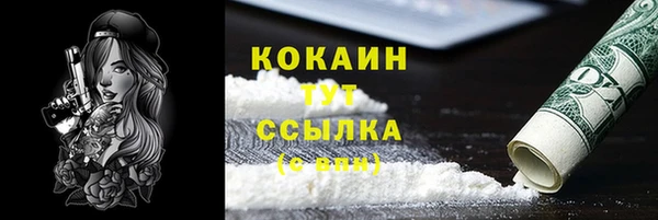 apvp Гусь-Хрустальный