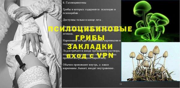 мяу мяу мука Елабуга
