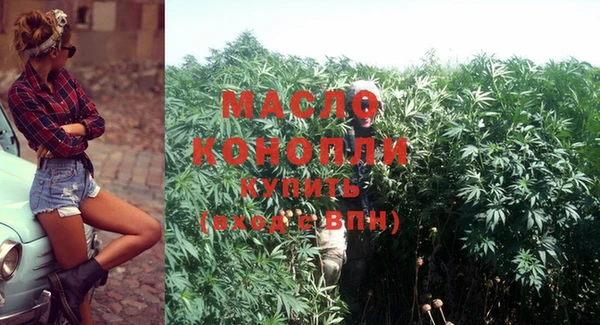 индика Бронницы