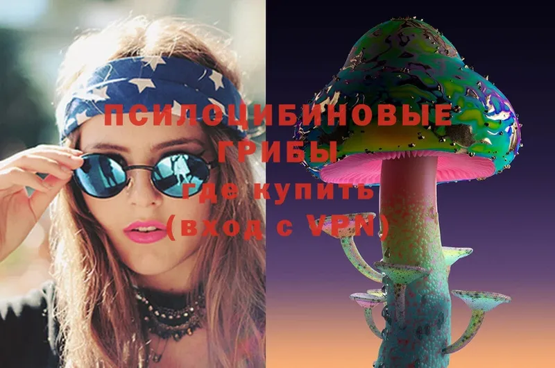 Псилоцибиновые грибы Psilocybe  Будённовск 