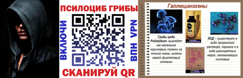 Галлюциногенные грибы MAGIC MUSHROOMS  ссылка на мегу вход  Будённовск 